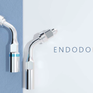 Endodontija